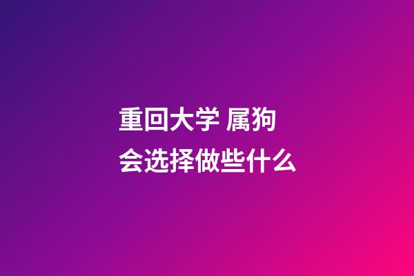 重回大学 属狗会选择做些什么